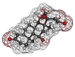 Cortisol-Molekül
